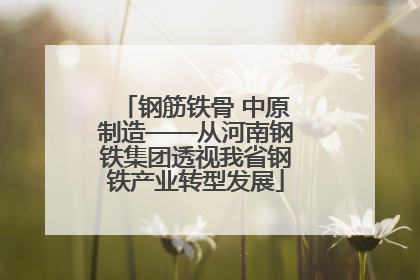 钢筋铁骨 中原制造——从河南钢铁集团透视我省钢铁产业转型发展