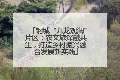 钢城“九龙观澜”片区：农文旅深融共生，打造乡村振兴融合发展新实践