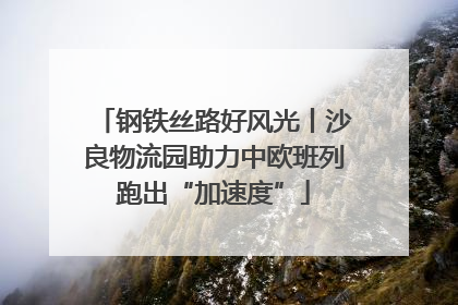 钢铁丝路好风光丨沙良物流园助力中欧班列跑出“加速度”