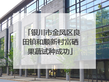 银川市金凤区良田镇和顺新村富硒果蔬试种成功