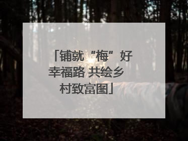 铺就“梅”好幸福路 共绘乡村致富图