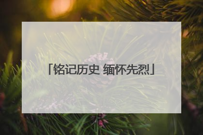 铭记历史 缅怀先烈