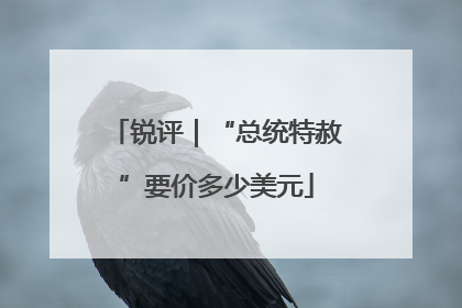锐评｜“总统特赦”要价多少美元