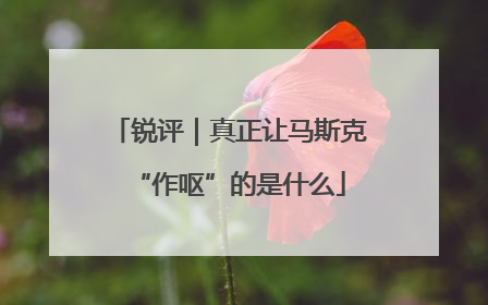 锐评｜真正让马斯克“作呕”的是什么