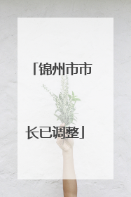 锦州市市长已调整