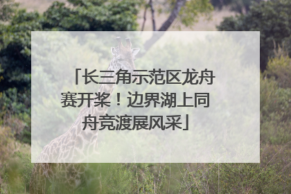 长三角示范区龙舟赛开桨！边界湖上同舟竞渡展风采
