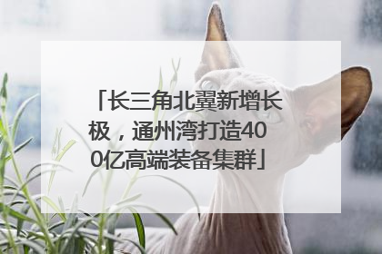 长三角北翼新增长极，通州湾打造400亿高端装备集群