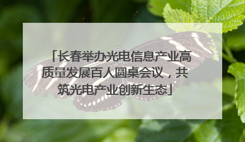 长春举办光电信息产业高质量发展百人圆桌会议，共筑光电产业创新生态