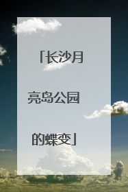 长沙月亮岛公园的蝶变