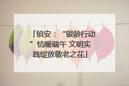 镇安：“银龄行动”情暖端午 文明实践绽放敬老之花