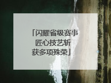 闪耀省级赛事  匠心技艺斩获多项殊荣