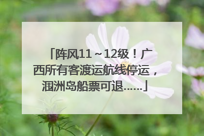 阵风11～12级！广西所有客渡运航线停运，涠洲岛船票可退……