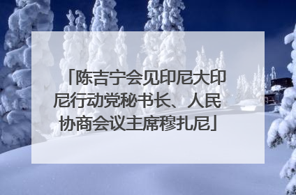 陈吉宁会见印尼大印尼行动党秘书长、人民协商会议主席穆扎尼