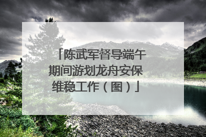 陈武军督导端午期间游划龙舟安保维稳工作（图）