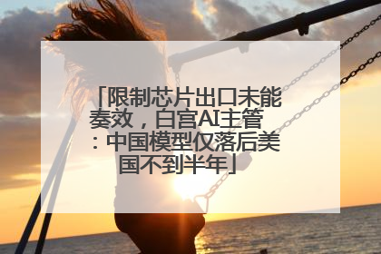 限制芯片出口未能奏效，白宫AI主管：中国模型仅落后美国不到半年