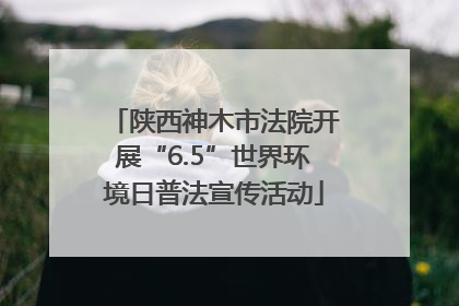 陕西神木市法院开展“6.5”世界环境日普法宣传活动