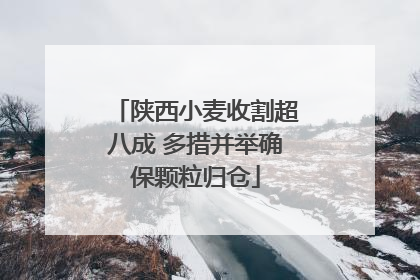 陕西小麦收割超八成 多措并举确保颗粒归仓