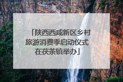 陕西西咸新区乡村旅游消费季启动仪式在茯茶镇举办