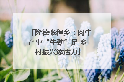 隆德张程乡：肉牛产业“牛劲”足 乡村振兴添活力