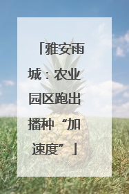 雅安雨城：农业园区跑出播种“加速度”