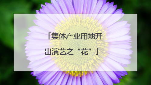 集体产业用地开出演艺之“花”