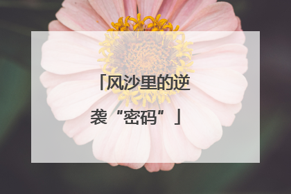 风沙里的逆袭“密码”