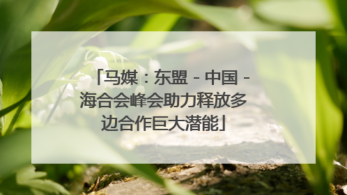 马媒：东盟－中国－海合会峰会助力释放多边合作巨大潜能