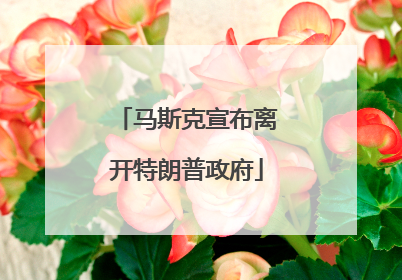 马斯克宣布离开特朗普政府
