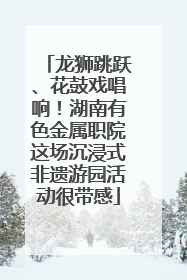 龙狮跳跃、花鼓戏唱响！湖南有色金属职院这场沉浸式非遗游园活动很带感