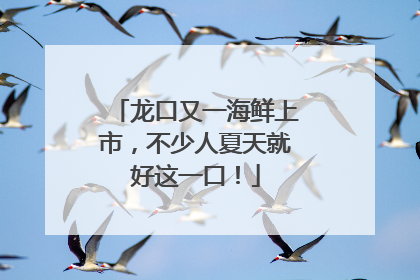 龙口又一海鲜上市，不少人夏天就好这一口！