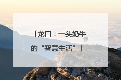 龙口：一头奶牛的“智慧生活”