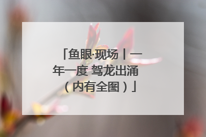 鱼眼·现场丨一年一度 驾龙出涌（内有全图）