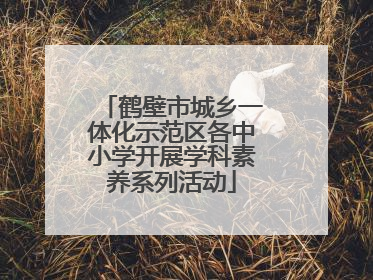 鹤壁市城乡一体化示范区各中小学开展学科素养系列活动