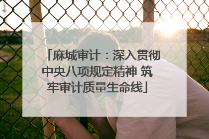 麻城审计：深入贯彻中央八项规定精神 筑牢审计质量生命线