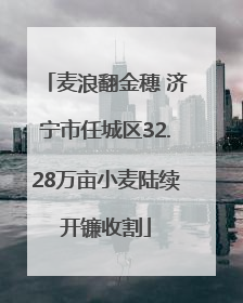 麦浪翻金穗 济宁市任城区32.28万亩小麦陆续开镰收割