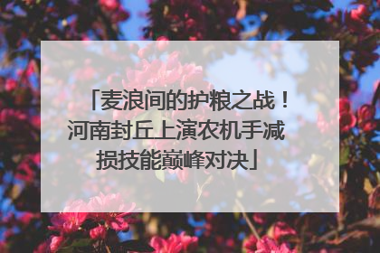 麦浪间的护粮之战！河南封丘上演农机手减损技能巅峰对决