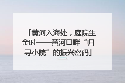 黄河入海处，庭院生金时——黄河口畔“归寻小院”的振兴密码