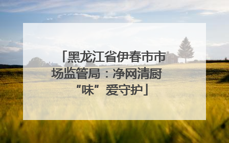 黑龙江省伊春市市场监管局：净网清厨 “味”爱守护