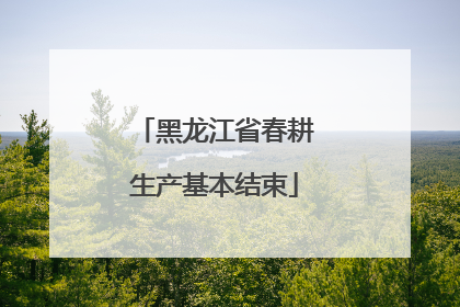 黑龙江省春耕生产基本结束