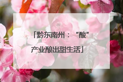 黔东南州：“酸”产业酿出甜生活