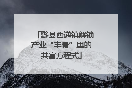 黟县西递镇解锁产业“丰景”里的共富方程式