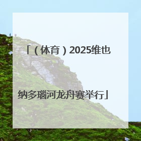 （体育）2025维也纳多瑙河龙舟赛举行