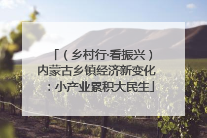 （乡村行·看振兴）内蒙古乡镇经济新变化：小产业累积大民生