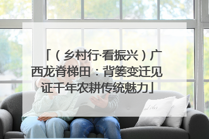 （乡村行·看振兴）广西龙脊梯田：背篓变迁见证千年农耕传统魅力