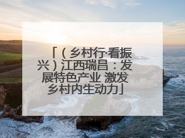 （乡村行·看振兴）江西瑞昌：发展特色产业 激发乡村内生动力
