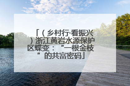 （乡村行·看振兴）浙江黄岩水源保护区蝶变：“一根金枝”的共富密码