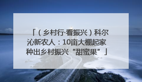 （乡村行·看振兴）科尔沁新农人：10亩大棚起家种出乡村振兴“甜蜜果”