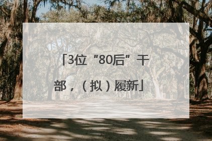 3位“80后”干部，（拟）履新