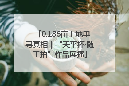 0.186亩土地里寻真相｜“天平杯·随手拍”作品展播