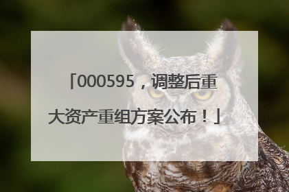 000595，调整后重大资产重组方案公布！